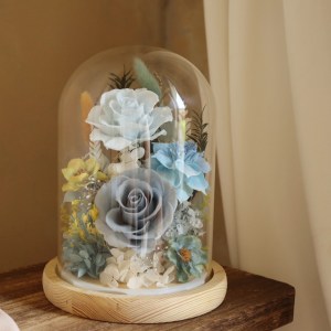 【遇見恆久】撐傘的女人 Woman with a Parasol款 永生玫瑰玻璃罩 含燈含盒