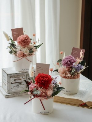 【遇見恆久】愛在日常母親節永生康乃馨盆栽 共3色